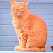 ヒメ日記 2025/11/03 17:15 投稿 みさ チューリップ姫路店