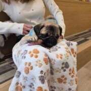 ヒメ日記 2025/12/16 12:04 投稿 金田ふうか 鶯谷デッドボール