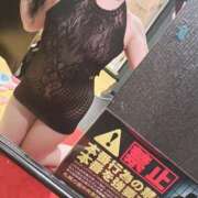 ヒメ日記 2024/12/11 04:33 投稿 さき ぺろぺろベロベロ専科 ぺろんちょ