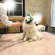 ヒメ日記 2025/01/24 23:36 投稿 ちか スパーク梅田店