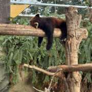 ヒメ日記 2025/02/16 23:37 投稿 ちか スパーク梅田店