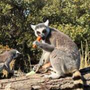 ヒメ日記 2025/02/26 21:00 投稿 ちか スパーク梅田店