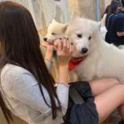 ヒメ日記 2025/09/23 22:55 投稿 ちか スパーク梅田店