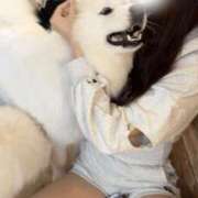 ヒメ日記 2026/03/17 11:35 投稿 ちか スパーク梅田店