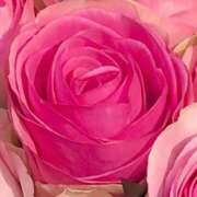 ヒメ日記 2025/08/06 22:17 投稿 真咲 熟女の風俗最終章 新横浜店