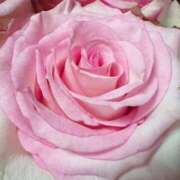 ヒメ日記 2025/10/02 17:26 投稿 真咲 熟女の風俗最終章 新横浜店