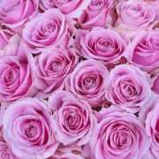 ヒメ日記 2025/10/08 23:26 投稿 真咲 熟女の風俗最終章 新横浜店