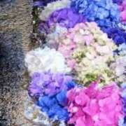 ヒメ日記 2026/06/19 22:46 投稿 真咲 熟女の風俗最終章 新横浜店