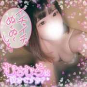 ヒメ日記 2025/03/13 16:42 投稿 いちご ちゃんこ藤沢茅ヶ崎店