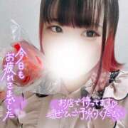 ヒメ日記 2025/03/15 17:02 投稿 いちご ちゃんこ藤沢茅ヶ崎店