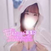 ヒメ日記 2025/06/25 16:52 投稿 いちご ちゃんこ藤沢茅ヶ崎店