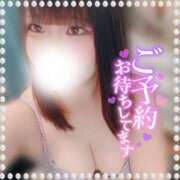 ヒメ日記 2025/11/12 17:12 投稿 いちご ちゃんこ藤沢茅ヶ崎店