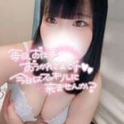 ヒメ日記 2025/12/19 17:02 投稿 いちご ちゃんこ藤沢茅ヶ崎店