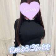 ヒメ日記 2025/04/02 07:31 投稿 せいな 名古屋回春性感マッサージ倶楽部