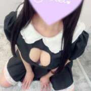 ヒメ日記 2025/07/14 08:59 投稿 せいな 名古屋回春性感マッサージ倶楽部