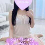 せいな おはようございます🌟 名古屋回春性感マッサージ倶楽部