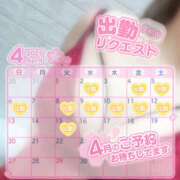 ヒメ日記 2025/04/02 02:37 投稿 いおり 八尾藤井寺羽曳野ちゃんこ