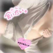 ヒメ日記 2025/04/06 12:13 投稿 いおり 八尾藤井寺羽曳野ちゃんこ