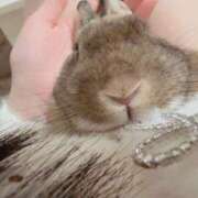 ヒメ日記 2025/11/23 01:28 投稿 あいり 東京メンズボディクリニック TMBC 立川店