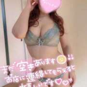 ヒメ日記 2025/07/11 15:00 投稿 いつき スピードエコ天王寺店