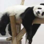 ヒメ日記 2025/11/07 16:20 投稿 いつき スピードエコ天王寺店