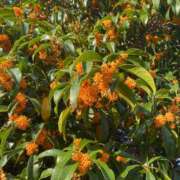 ヒメ日記 2025/11/06 11:11 投稿 羽田 美智子 熟女・人妻マダム宮殿