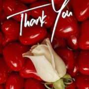 ヒメ日記 2025/11/20 23:25 投稿 羽田 美智子 熟女・人妻マダム宮殿