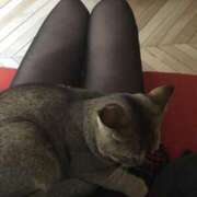 ヒメ日記 2026/01/28 10:33 投稿 羽田 美智子 熟女・人妻マダム宮殿