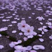 羽田 美智子 ありがとうございました 熟女・人妻マダム宮殿