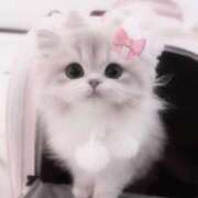 ヒメ日記 2025/04/26 08:59 投稿 あむ スピードエコ梅田店