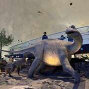 ヒメ日記 2025/05/04 09:35 投稿 あむ スピードエコ梅田店