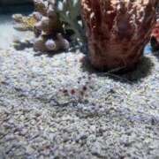 ヒメ日記 2025/06/06 19:45 投稿 あむ スピードエコ梅田店