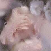 ヒメ日記 2025/08/11 08:55 投稿 あむ スピードエコ梅田店