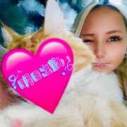 ヒメ日記 2024/12/12 18:36 投稿 ひなた 川崎ソープ　クリスタル京都南町