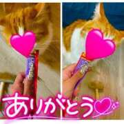 ヒメ日記 2025/02/09 20:16 投稿 ひなた 川崎ソープ　クリスタル京都南町