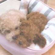 ヒメ日記 2025/05/27 14:03 投稿 ほしな パリス雄琴店