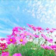 はるな 明日 奥鉄オクテツ東京店（デリヘル市場）