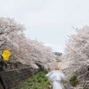 はるな さくら 奥鉄オクテツ東京店（デリヘル市場）