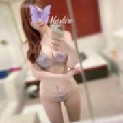 ヒメ日記 2025/11/24 14:19 投稿 ましろ FORTE