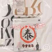 ましろ 🐻‍❄️THX🐻‍❄️ FORTE