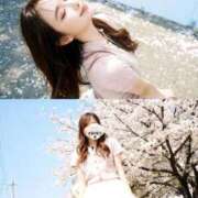 ましろ 🤍出勤🤍🈵 FORTE