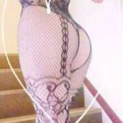 ヒメ日記 2025/05/14 12:18 投稿 すみれ 桜sakura(名古屋)