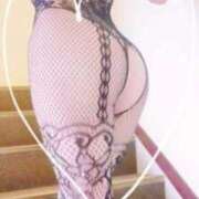 ヒメ日記 2025/10/03 10:28 投稿 すみれ 桜sakura(名古屋)