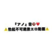 ヒメ日記 2024/06/17 17:18 投稿 宮原にの ブルーバード