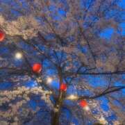 ヒメ日記 2025/04/13 09:45 投稿 ねる 熟女の風俗最終章 仙台店