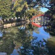 ヒメ日記 2025/01/03 17:55 投稿 ウミ リッチドールなんば店