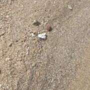 ヒメ日記 2025/10/04 16:26 投稿 ウミ リッチドールなんば店