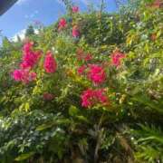 ヒメ日記 2025/10/26 19:46 投稿 ウミ リッチドールなんば店