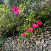 ヒメ日記 2025/12/01 18:48 投稿 ウミ リッチドールなんば店