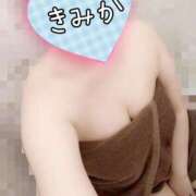 ヒメ日記 2025/04/11 08:02 投稿 きみか 成田人妻花壇